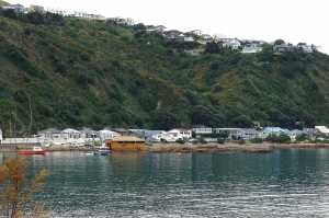 OWHIRO-BAY (9)